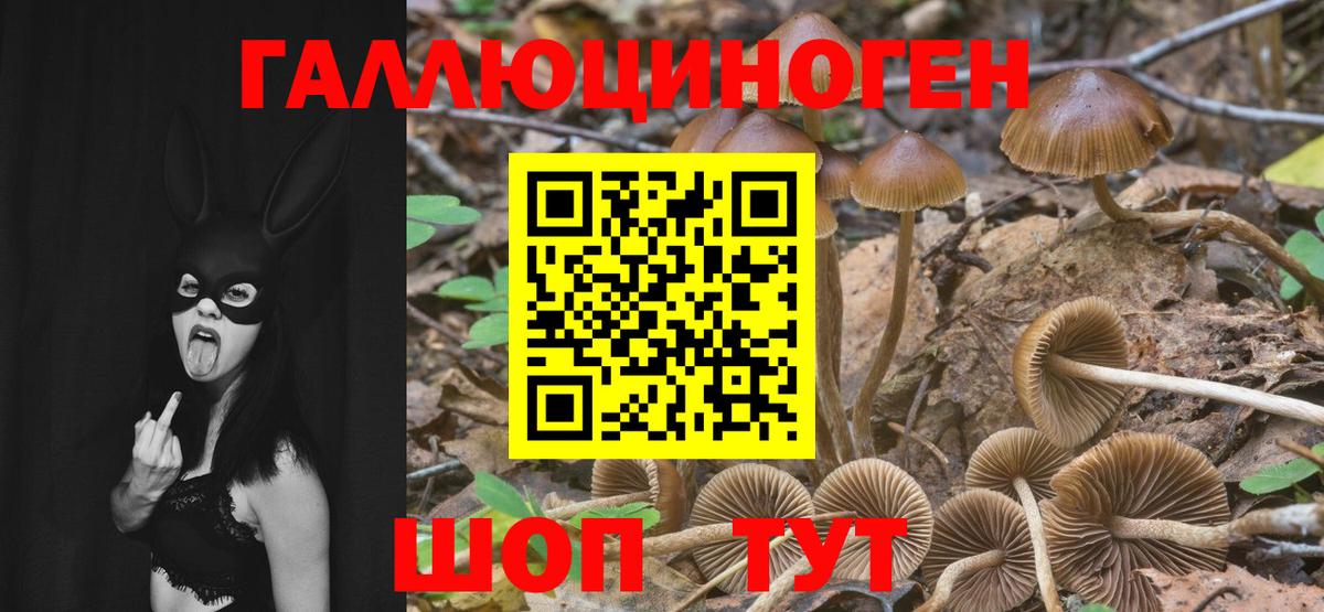Галлюциногенные грибы прущие грибы  Вход с VPN  Асбест 