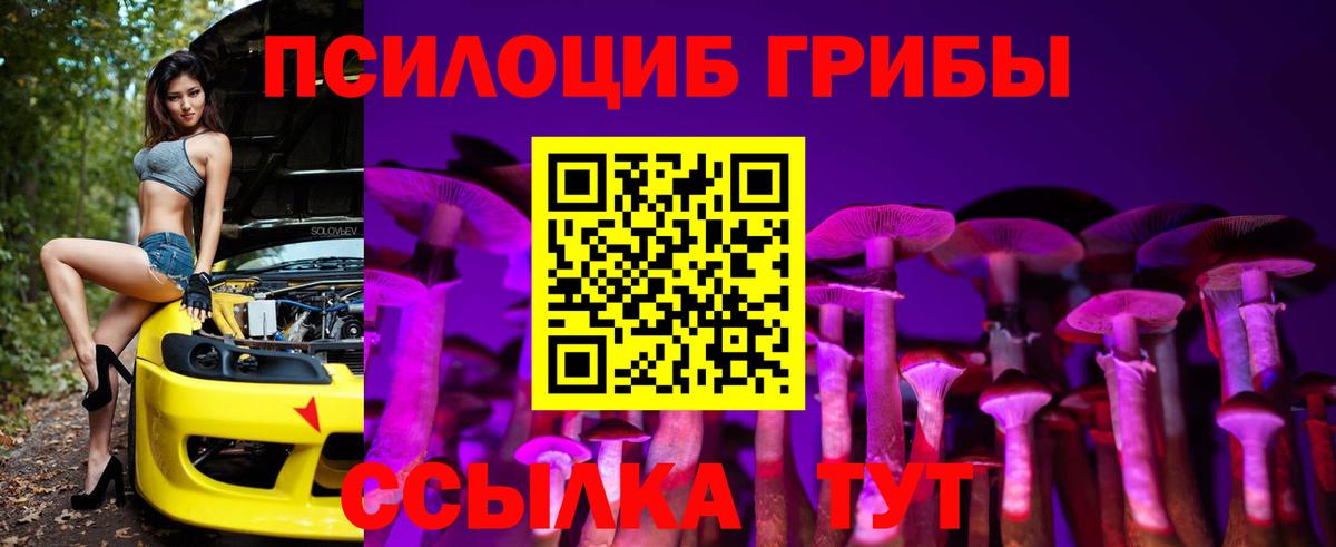 Галлюциногенные грибы Psilocybe Асбест